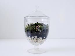 You can use various plants for your biorbair. How To Make A Family Terrarium Hgtv