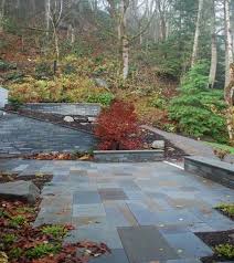 You may have grown up thinking that the best wetland was oneconvertedtoanother use, drained foragricultureorfilled for development. A Homebuyer S Guide To Critical Areas The Watershed Company