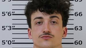 Man accused of stealing vehicle at gunpoint in Carter County charged