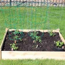 Your garden supply and advice hq. Tips For Growing Tomatoes In A Raised Bed Garden Love Our Real Life