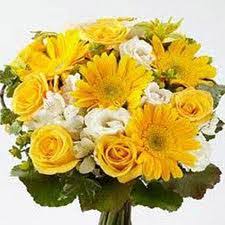 Save up to 20% on flowers going to berlin. Same Day Flowers Delivery To America Gifts To America Flowers To Usa Free Delivery Cheapest Way To Send Flowers Online Affordable Flowers Online Order Flowers Online America Order Flowers Online International