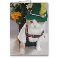 Birthday Wishes In German With Translation Funny Cat German Birthday Card Zazzle Com Birthday Greeting Cards Happy Birthday Greeting Card Funny Cats