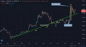 With a steady recovery, the price moved to $0.15 at the end of july. Can Cardano Reach 15 Will Cardano Reach 100 Is Binance Coin Worth Buying Cardano Has Been Pioneered By A Team Of Academics And Engineers And Is Offering A