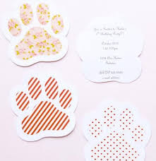 六合心水 cat themed parties kitten party cat birthday party