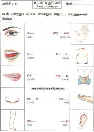 மனித உடல் பாகங்கள் | learn human body parts name in tamil and english with picture #starkidsworld. Thiruvarasan S Thiruvarasans Profile Pinterest
