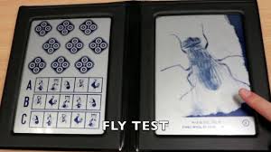 Titmus vision screener this evaluation checks for eye sharpness. Titmus Stereoacuity Test Youtube