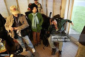 274 Boardman Ohio Stock Photos, High-Res Pictures, and Images