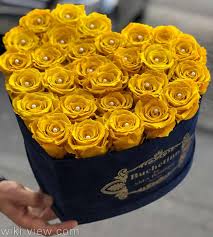 عکس گل / عکس گل شمعدانی / عکس گلهای زیبای جهان - ویکی ویو