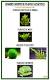Plantas Terrestres