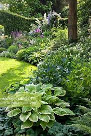 Tumblr In 2020 Beautiful Gardens Backyard Garden Shade Garden