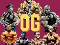 Passive Income For Nft Artists In 2021 Income Passive Income Bodybuilding