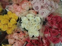 How much are flowers at kroger. Kroger Flowers Aren T They Beautiful All Flowers Flowers Rose