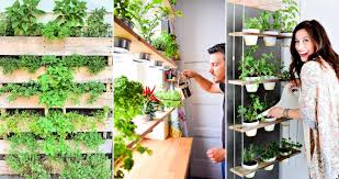 How to create your own diy patio herb garden 40 Best And Cheap Diy Herb Garden Ideas For Indoor Outdoor