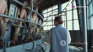 Human Milk Farm - EPORNER