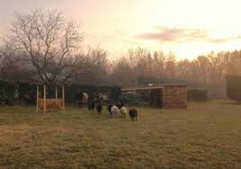 Ce sujet comporte 7 messages et a été affiché 50.261 fois. Construction D Un Abri