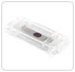 VERIFY All Clean Test Washer Indicator | STERIS