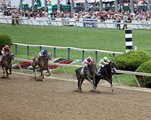 2017 preakness stakes wikipedia