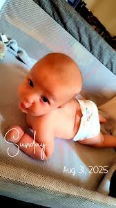 Is anyone in Michigan or within an hour drive from Michigan needing breast  milk?