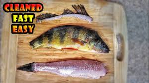 We did not find results for: How To Air Fried Whole Yellow Perch Fish For Juiciness Youtube