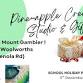 Resin art workshop (MT GAMBIER) event image