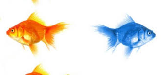 De îndată ce am lansat procesul de activare, este necesară o. Digi Mobile Roaming