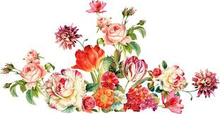 pin by abid faiz on flowers in 2021 flower drawing flower art digital flowers