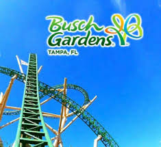 2021 fun card valid now through december 31, 2021 at busch gardens tampa bay. Busch Gardens Tampa Ticket Savings A Promo Discount Tool Ebay