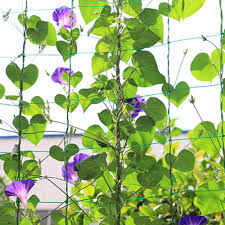 Fürs klettern müssen kinder koordinativ in der lage sein hände und füße kontrolliert und unabhängig voneinander bewegen zu können. Garten Terrasse Nylon Spalier Netz Garten Klettern Beans Pflanze Wachsen Zaun Grun Halterungen Gartenzaune Sichtschutzwande