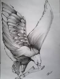 Pencil Sketch Eagle Eagle Drawing Eagle Sketch Animal Drawings