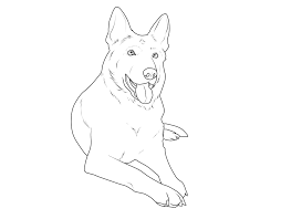 Malvorlage Schaferhund Kostenlos Coloring And Malvorlagan