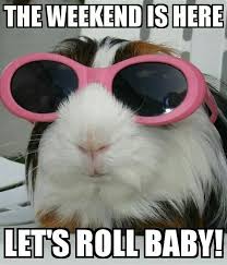 Meme october weekend ft foxic olya and лососик в банке gacha club. 60 Best Happy Saturday Memes That Make You Smile