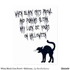 When Black Cats Prowl Halloween Poem Postcard Zazzle Com Halloween Poems Black Cat Black Cat Halloween