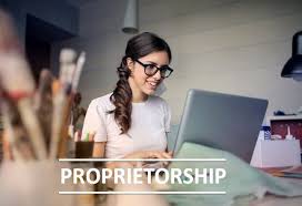 How A Sole Proprietorship Is Beneficial For Single Owner Sole Proprietorship Private Limited Company Sole
