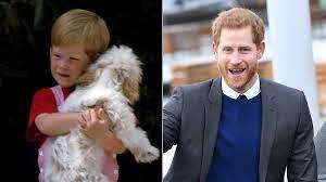 Aufgrund seiner bestimmung zum britischen thronfolger im er hing sehr an ihr: Von Schlampig Bis Top Gestylt Die Stilentwicklung Von Prinz Harry Gq Germany