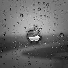 Pin On Apple