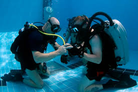 Padi Vs Naui Types Of Scuba Certifications Scuba Diving Lovers