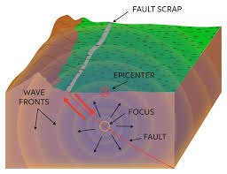 When energy is released at the focus, seismic waves travel outward from that point in all directions. Learn About Earthquake Waves Chegg Com