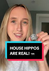 Don't comment about my lip. I burnt it