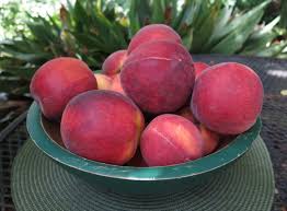 peaches