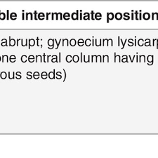 Image result for Centemopsis longipedunculata