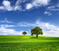 2,377,000+ vectors, stock photos & psd files. Amazing Nature Hd Picture 01 Free Download