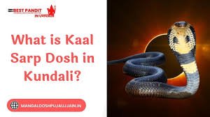Kaal Sarp Dosh Puja | Kaal Sarp Dosh Nivaran Puja — Brahmatellsstore