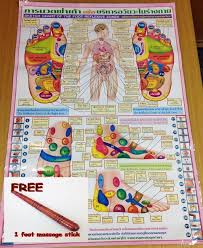 Details About Reflexology Thai Foot Massage Health Chart Free Wooden Massage Stick Tool