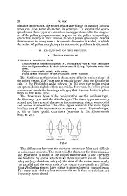 Image result for Thecacoris spathulifolia