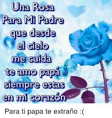 Aquí encontrarás todo tipo de frases, imágenes con reflexiones, frases célebres, citas, reflexiones, refranes y provervios para que gracias por ser mi pedacito de cielo. Imagenes De Mi Papa En El Cielo
