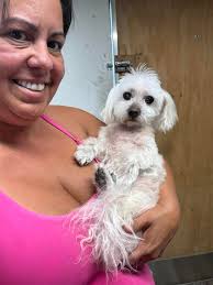 Mobile pet groomer in Antigo area?