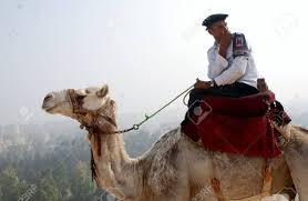 Скачать camel camel apk 1.65 для андроид. Camel Police Egypt Stock Photo Picture And Royalty Free Image Image 10581575
