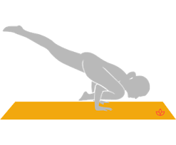 Flying Lizard Pose Flying Lizard Pose Lizard Pose Poses