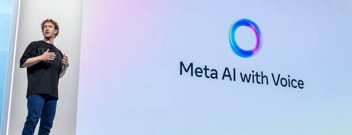 Meta Fails to Beat Copyright Notice Removals Claim in AI Case