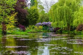 Maybe you would like to learn more about one of these? 13 Benefits Of Visiting A Botanical Garden Even If You Are A Gardener